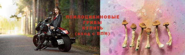 индика Абаза