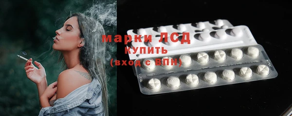 индика Абаза