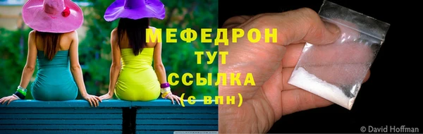 индика Абаза
