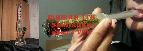 индика Абаза