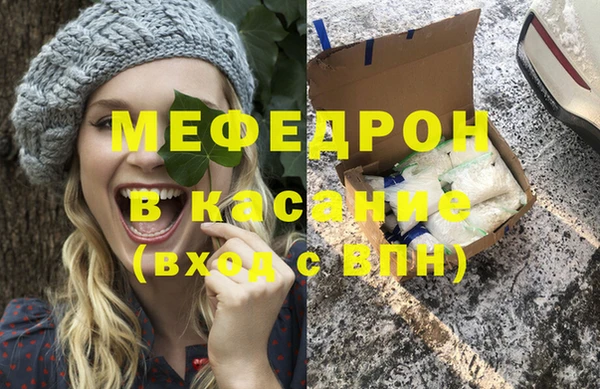 индика Абаза