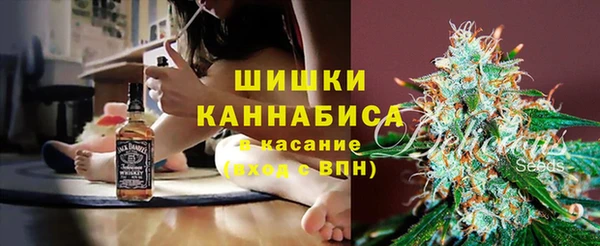 индика Абаза