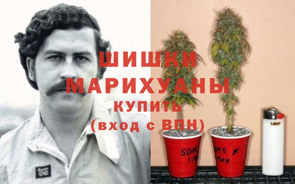 трава Абинск